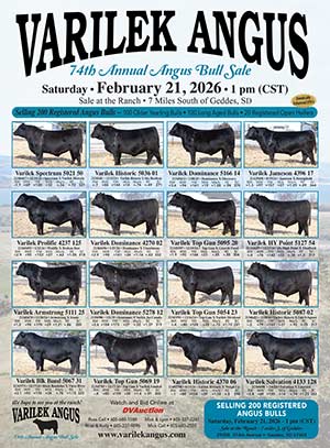 Varilek Angus Sale Ad